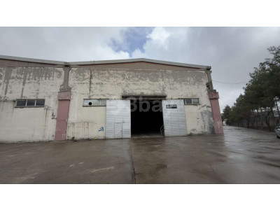 WhatsApp Image 2026-03-30 at 20.43.25 (1).jpeg